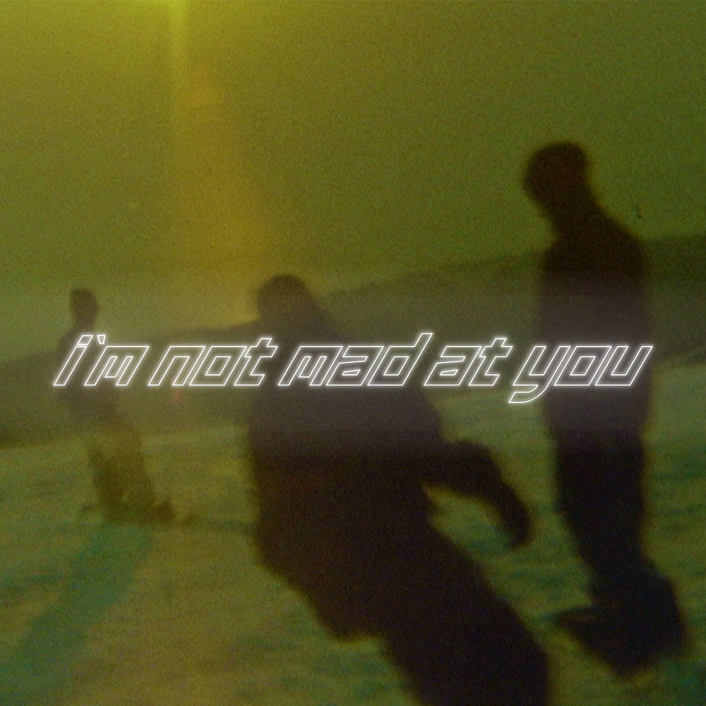 I'm Not Mad At You — Wasted Talent Magazine