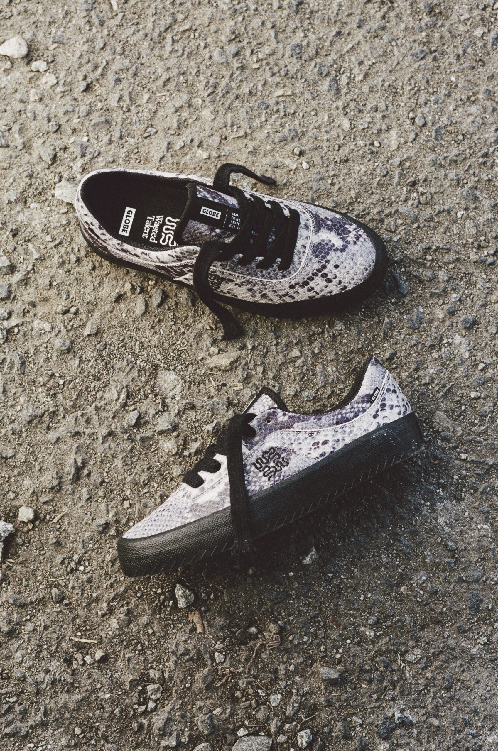 HIGH_WTxGLOBE_PAPKE33